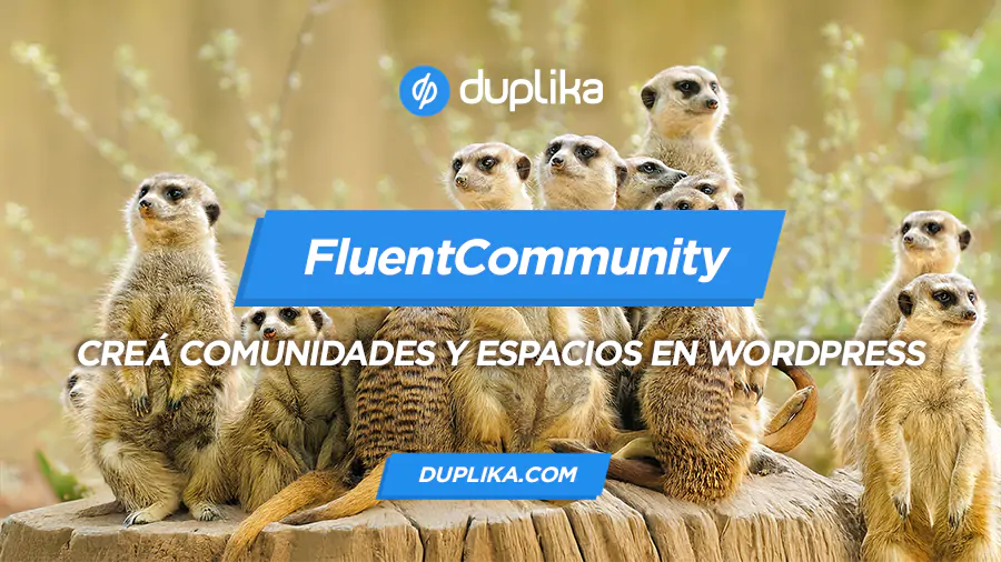 fluentcommunity-analisis.webp